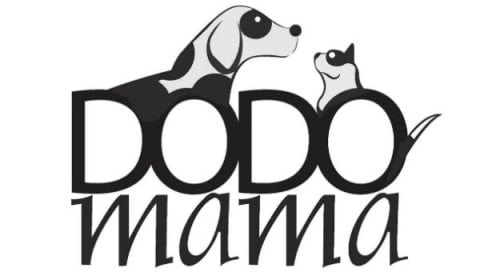 Dodo Mama Güncel İndirim Kuponları - KUPONLA.COM